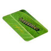 Naturfreundlichkeit Magnet (Rechte Seite)