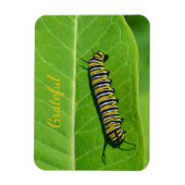 Naturfreundlichkeit Magnet (Vertikal)