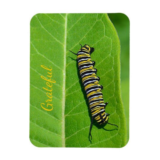 Naturfreundlichkeit Magnet (Vertikal)