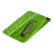 Naturfreundlichkeit Magnet (Linke Seite)