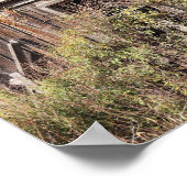 naturgemäß poster (Ecke)