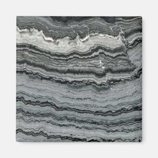 Naturgemein Schwarz-weißer Spitzenmarmor Magnet (Vorne)