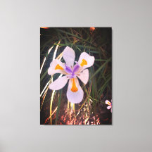 Naturgeschenke, gearbeitete Leinwand