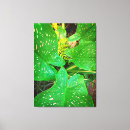 Naturgeschenke, gearbeitete Leinwand