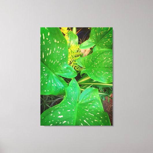 Naturgeschenke, gearbeitete Leinwand (Vorderseite)