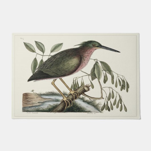 Naturgeschichte 24" x 6" Tür-Matten-Fußmatte Fußmatte (Vorderseite)