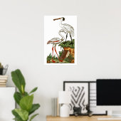 Naturgeschichte der Vögel 1795 Plate 33 Klein Poster (Heimbüro)