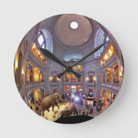 Naturgeschichte-Museum Smithsonian