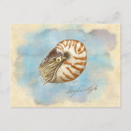 Naturgeschichte Nautilus Postkarte (Vorderseite)