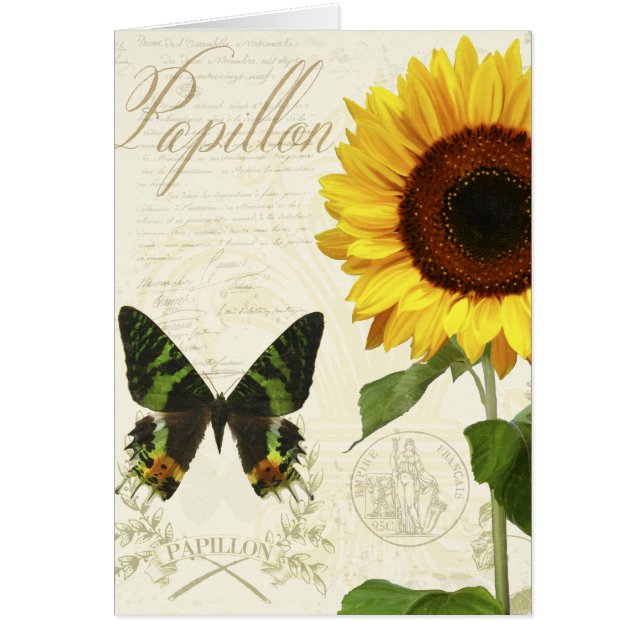 NaturgeschichteSketchbook III (Vorne)