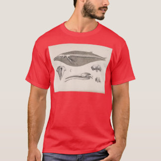 Naturgeschichtlicher Walskelett T-Shirt