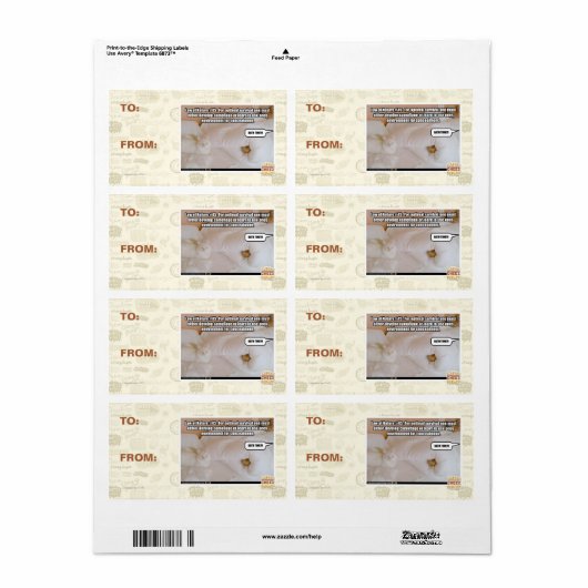 Naturgesetz #45 (Vorne)