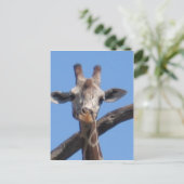 Naturgestein Postkarte (Stehend Vorderseite)