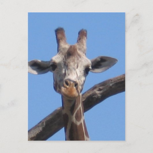 Naturgestein Postkarte (Vorderseite)