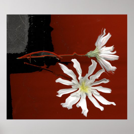 NATURGIFTS POSTER (Vorne)