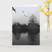 Naturgrüßkarte Karte (Gelbe Blume)