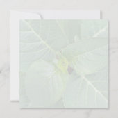 Naturheilende Blätter Grün-rosa Blüten Dankeskarte (Rückseite)