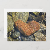 Naturherz Postkarte (Vorne/Hinten)