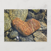 Naturherz Postkarte (Vorderseite)