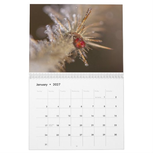 Naturinspirierter Kalender 2026 (Jan 2027)