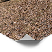 Naturkakteen Landschaft 3994 Poster (Ecke)