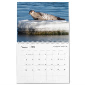 Naturkalender 2020 kalender (Feb 2026)