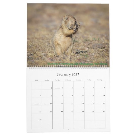 Naturkalender 2021 kalender (Feb 2027)