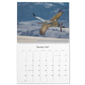 Naturkalender 2021 kalender (Jan 2027)