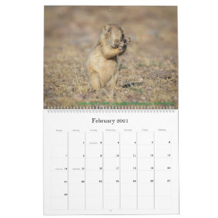 Naturkalender 2021 kalender