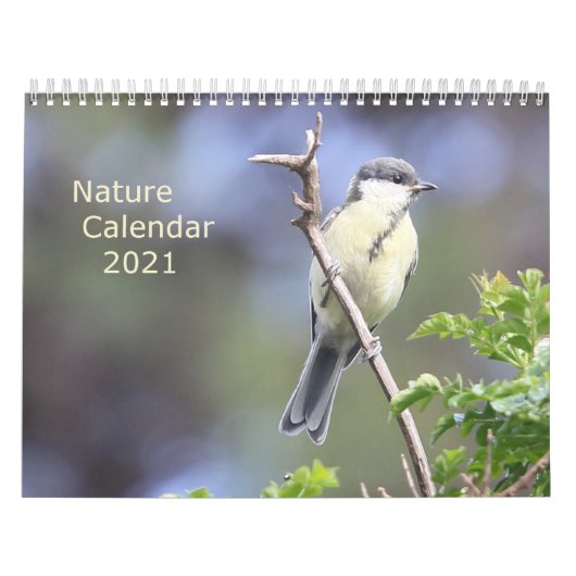 Naturkalender 2021 kalender (Titelbild)