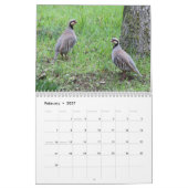 Naturkalender 2021 kalender (Feb 2027)