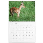 Naturkalender 2021 kalender (Mär 2027)
