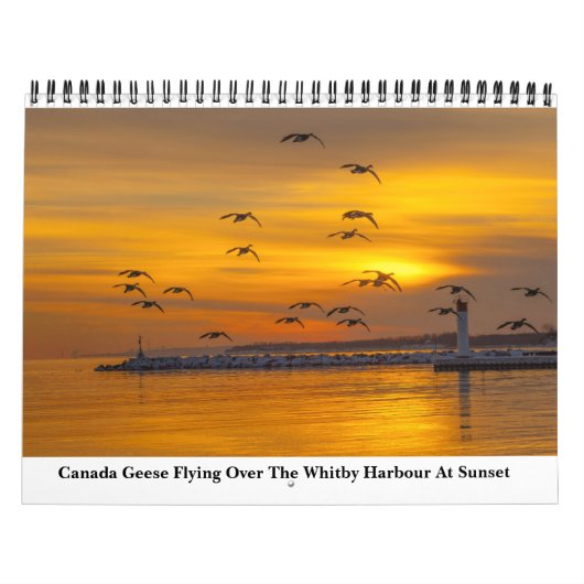 Naturkalender 2023 kalender (Titelbild)