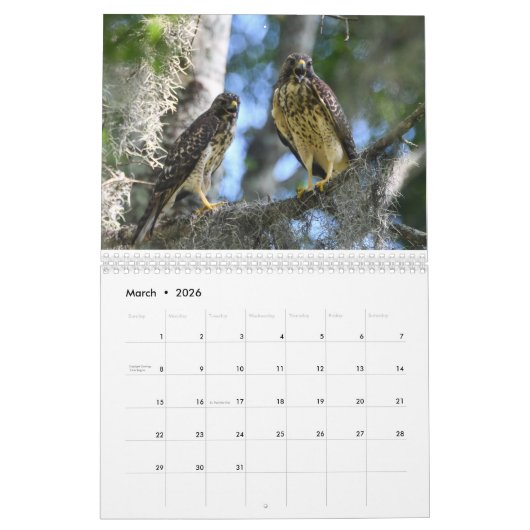 Naturkalender 2026 kalender (Mär 2026)