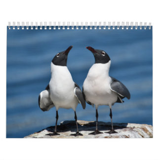 Naturkalender 2026 kalender
