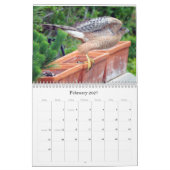 Naturkalender Kalender (Feb 2027)