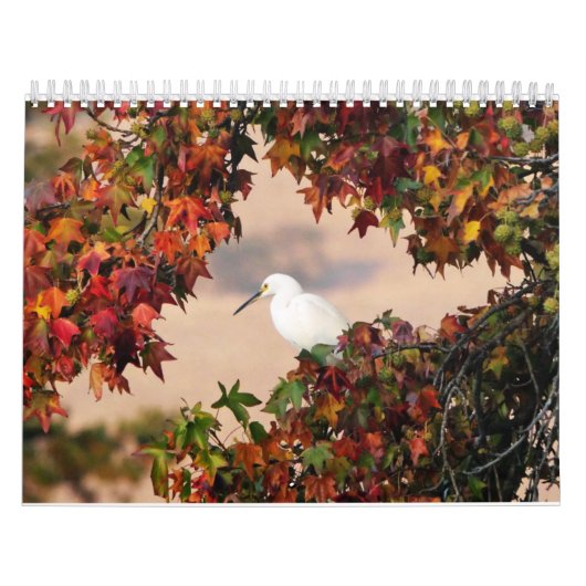 Naturkalender Kalender (Titelbild)
