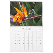 Naturkalender Kalender (Feb 2026)