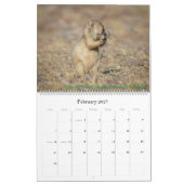 Naturkalender Kalender (Feb 2027)