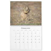 Naturkalender Kalender (Feb 2026)