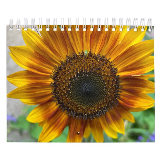 Naturkalender Kalender (Titelbild)