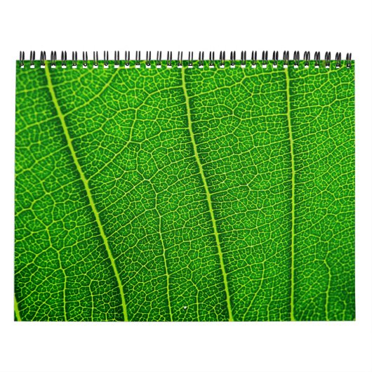 Naturkalender Kalender (Titelbild)