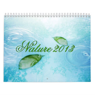 Naturkalender - Wasser, Himmel und Blätter 2013 Kalender