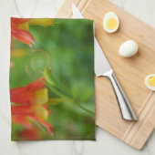 Naturkrone Küchentuch (Viertel Falte)