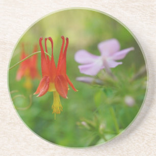 Naturkrone Untersetzer