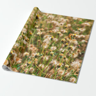 Naturkulisse mit grasblühendem Hintergrund, Bena Geschenkpapier