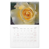 Naturkunde - Blume Vol. 1 Kalender (Feb 2027)