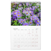 Naturkunde - Blume Vol. 1 Kalender (Jan 2027)