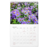 Naturkunde - Blume Vol. 1 Kalender (Jan 2026)
