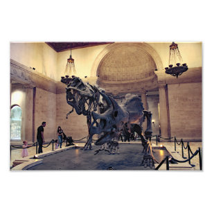 Naturkundemuseum Los Angeles Fotodruck